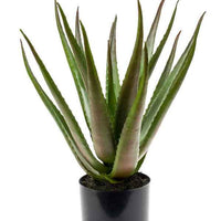 Plante artificielle Aloe vera vert-rouge avec cache-pot anthracite - Plantes artificielles populaires