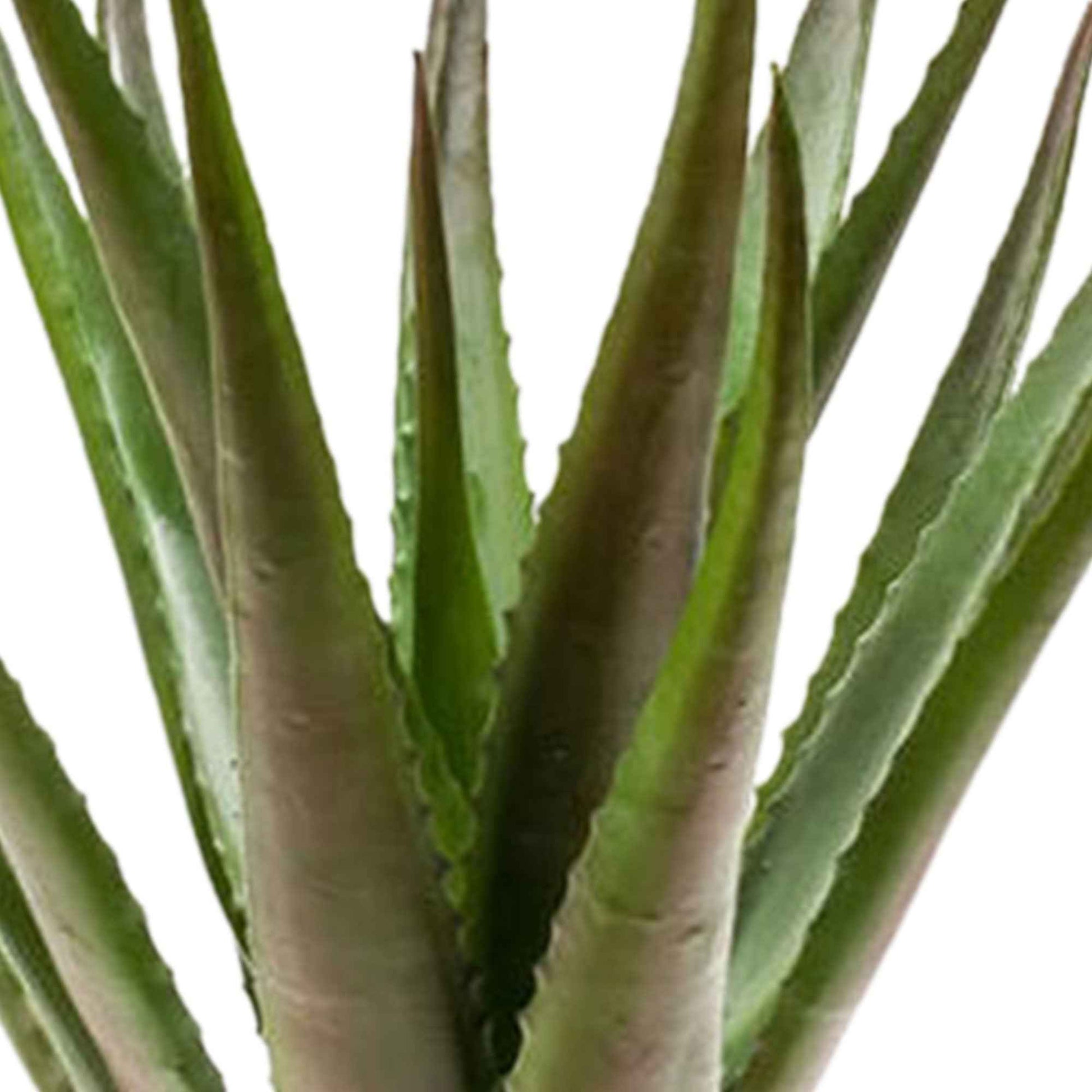 Plante artificielle Aloe vera vert-rouge avec cache-pot anthracite - Plantes grasses artificielles