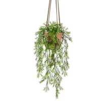 Plante artificielle – Asperge de Sprenger (Asparagus sprengeri), avec pot suspendu marron - Plantes artificielles populaires