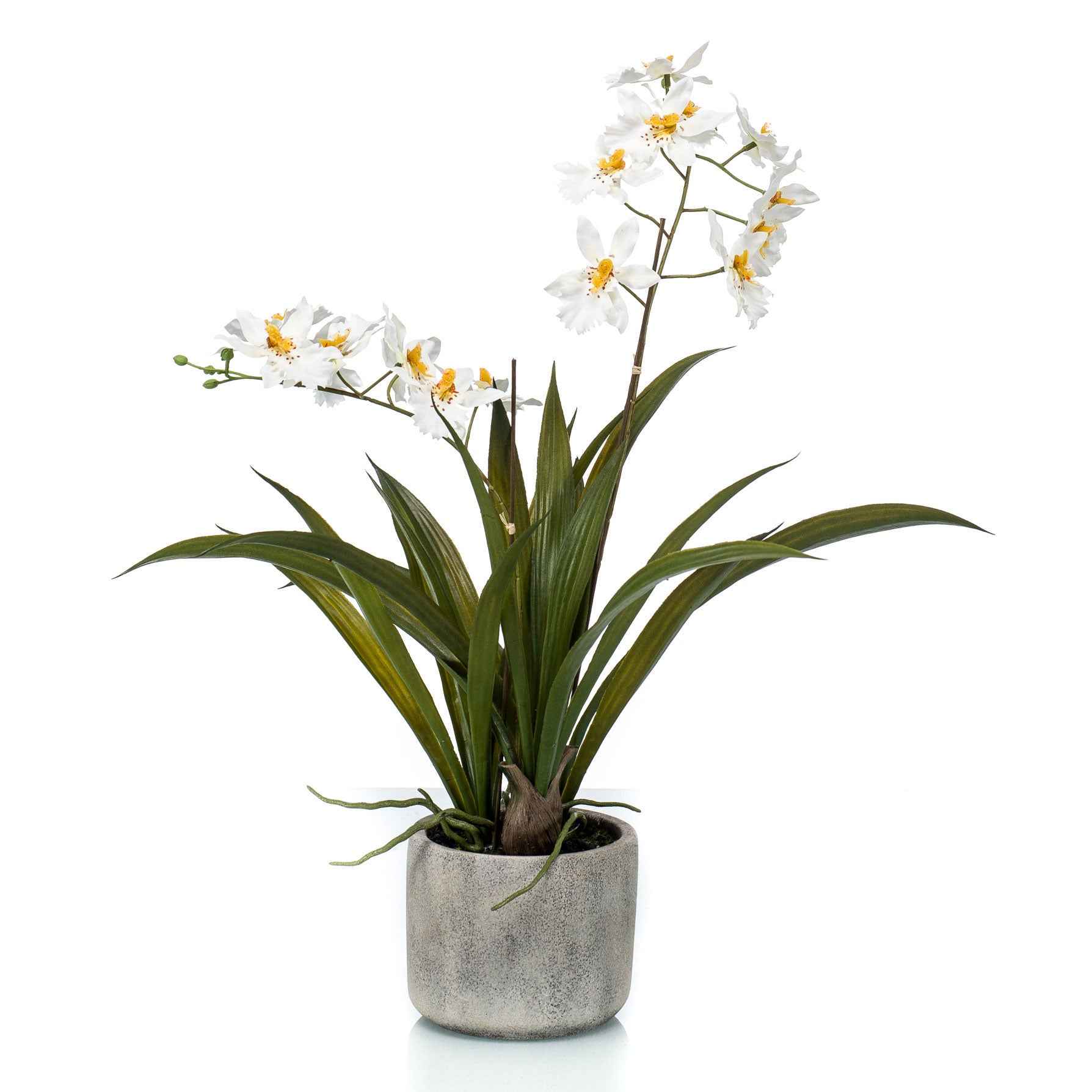 Plante artificielle Orchidée avec cache-pot céramique - Petites plantes artificielles