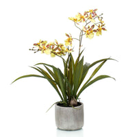 Plante artificielle Orchidée Oncidium jaune avec cache-pot céramique - Petites plantes artificielles
