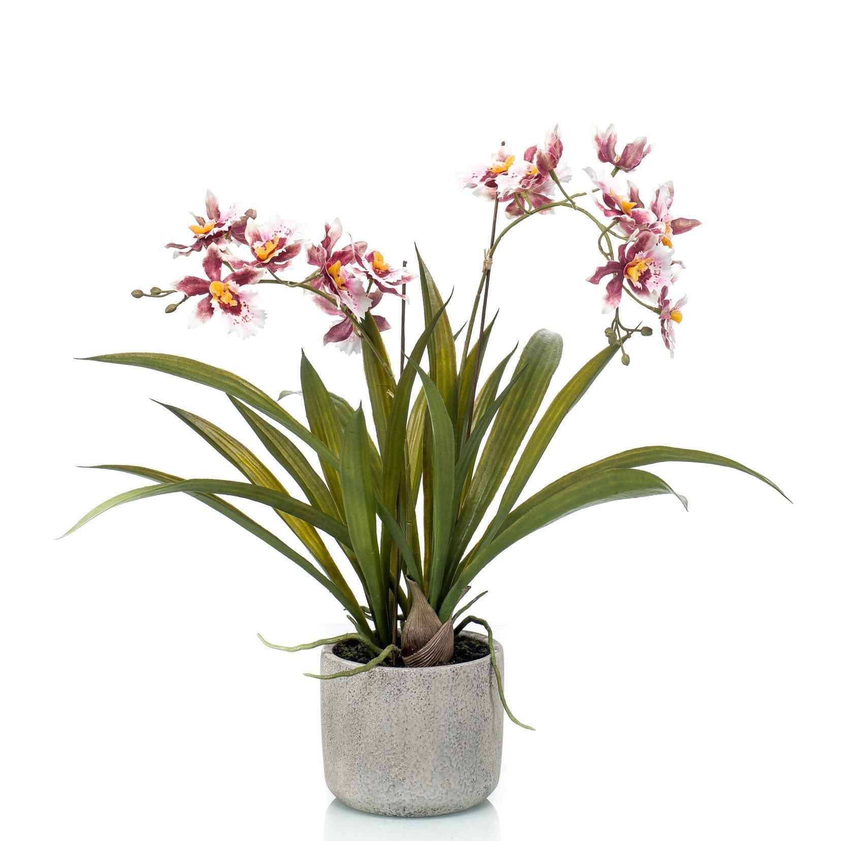 Plante artificielle Orchidée Oncidium rose avec cache-pot céramique - Petites plantes artificielles
