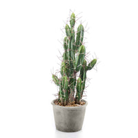 Plante artificielle Cactus Stetsonia avec cache-pot gris - Cactus artificiels