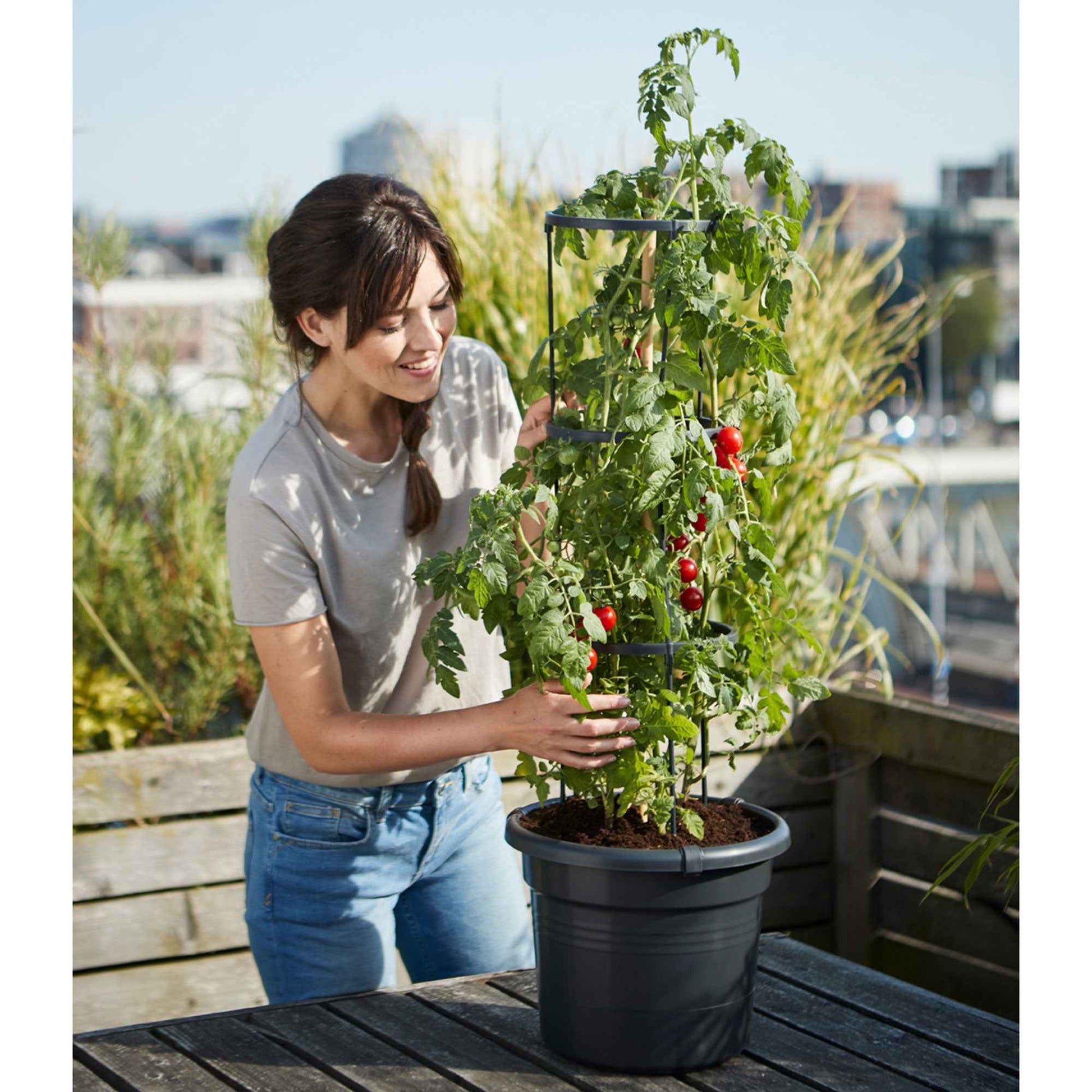 Elho pot de tomates Green basics rond noir - Pot pour l'extérieur - Elho
