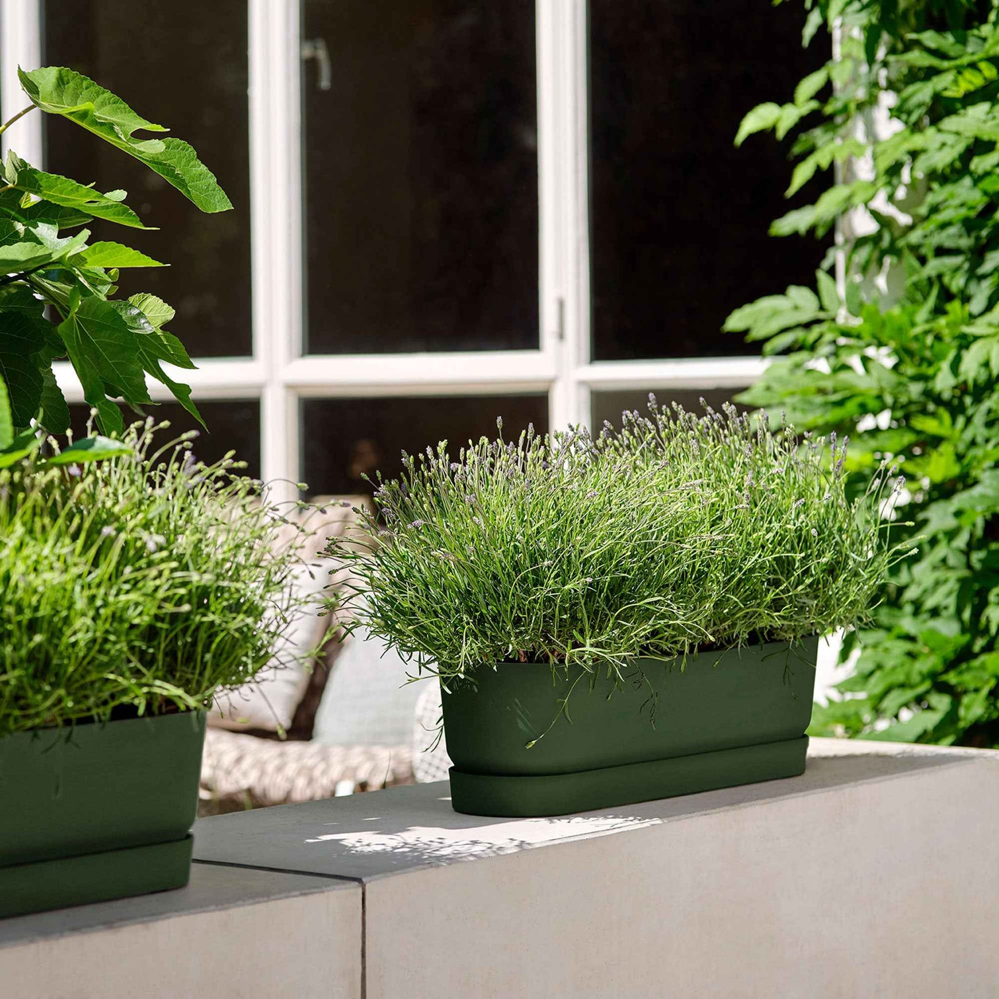 Elho pot de fleurs Greenville terrace trough ovale vert avec roulettes - Pot pour l'extérieur - Pots de fleurs