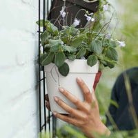Elho Loft urban Green wall single blanc - Pot pour l'extérieur - Aménagement du potager