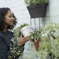 Elho pot de fleurs Loft urban Green wall single rond anthracite - Pot pour l'extérieur - Aménagement du potager