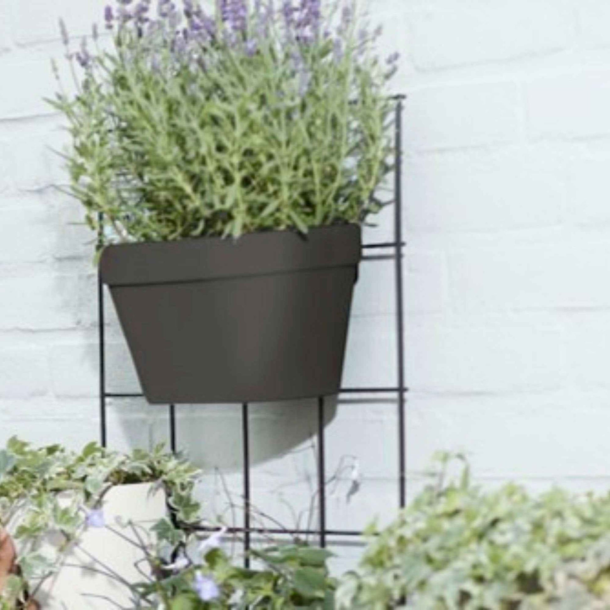 Elho pot de fleurs Loft urban Green wall duo ovale anthracite - Pot pour l'extérieur - Aménagement du potager