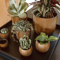 Capi pot de fleurs Nature Groove rond or - Pot pour l'intérieur - Petits pots d'intérieur