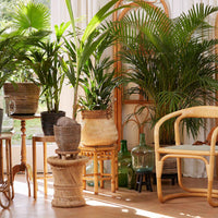 Panier en bambou rond marron - Pot pour l'intérieur et l'extérieur - Paniers pour plantes