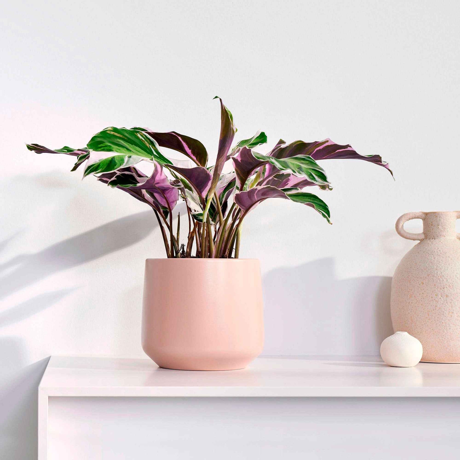 Mica pot de fleurs Amber rond rose - Pot pour l'intérieur - Collection colorée