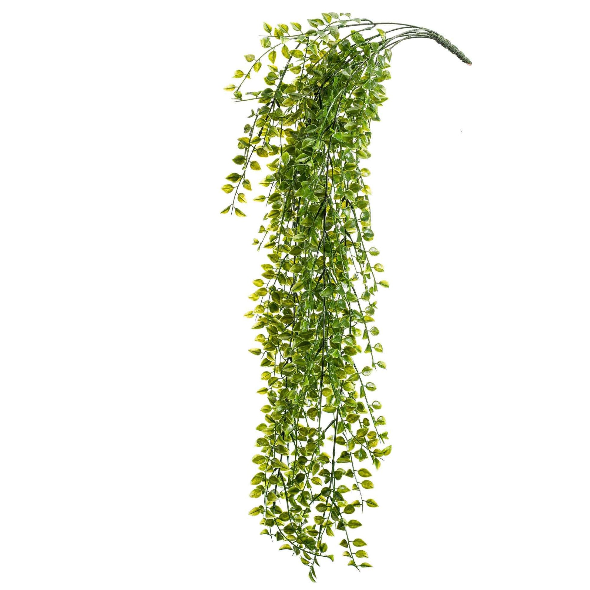 Figuier rampant artificiel Ficus pumila - Petites plantes artificielles
