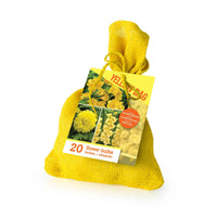 20x Bulbes de fleurs - Mélange 'The Yellow Bag' Jaune - Idées cadeaux