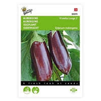 Aubergine Solanum 'Violetta Lunga' 10 m² - Semences de légumes - Graines