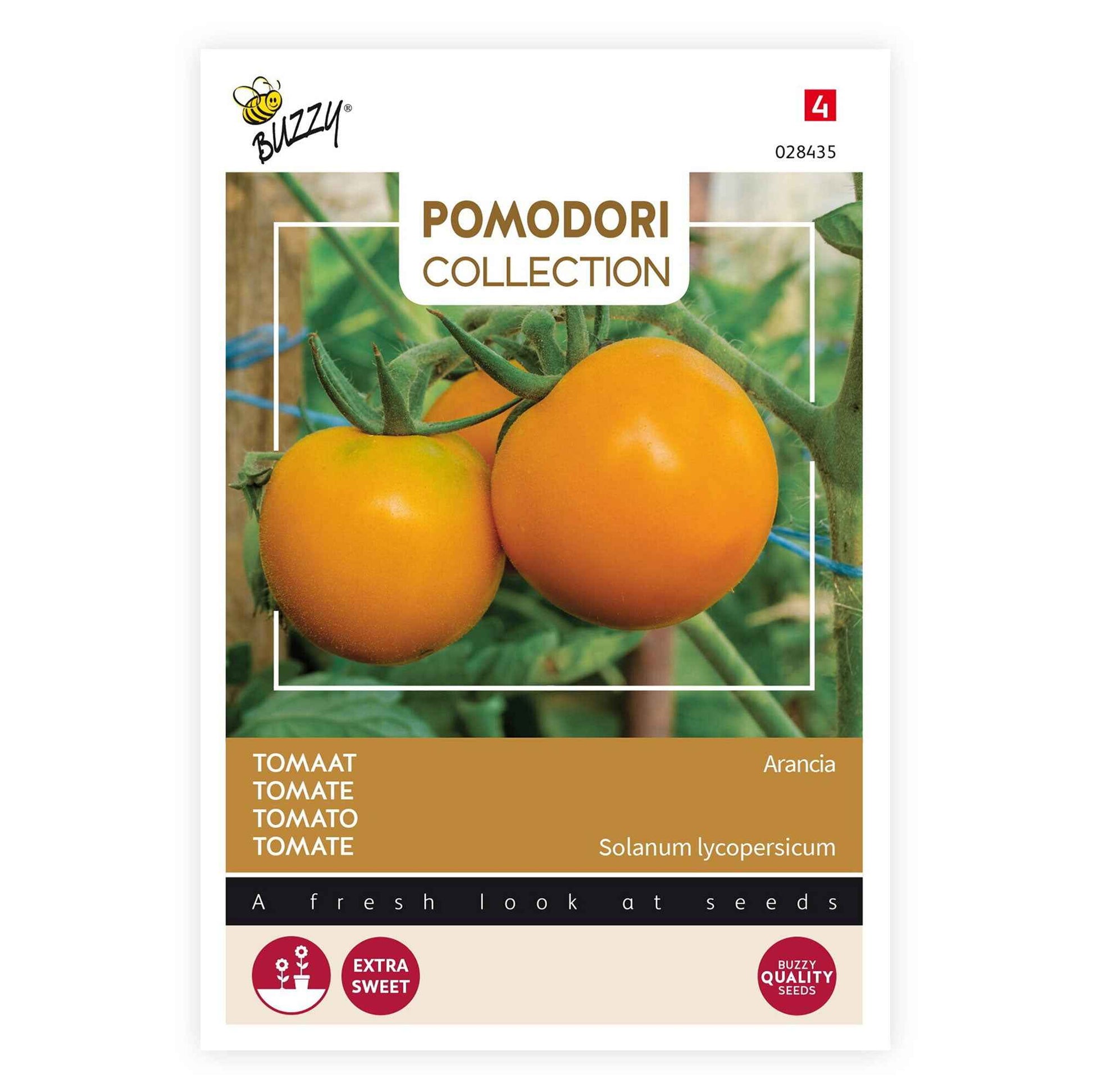 Tomate Solanum 'Arancia' jaune 2 m² - Semences de légumes - Potager