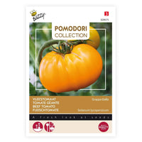Tomate charnue Solanum 'Grappa Gialla' jaune 2 m² - Semences de légumes - Graines de Légumes
