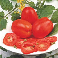 Tomate Solanum 'Super Roma' rouge 2 m² - Semences de légumes - Graines de Légumes
