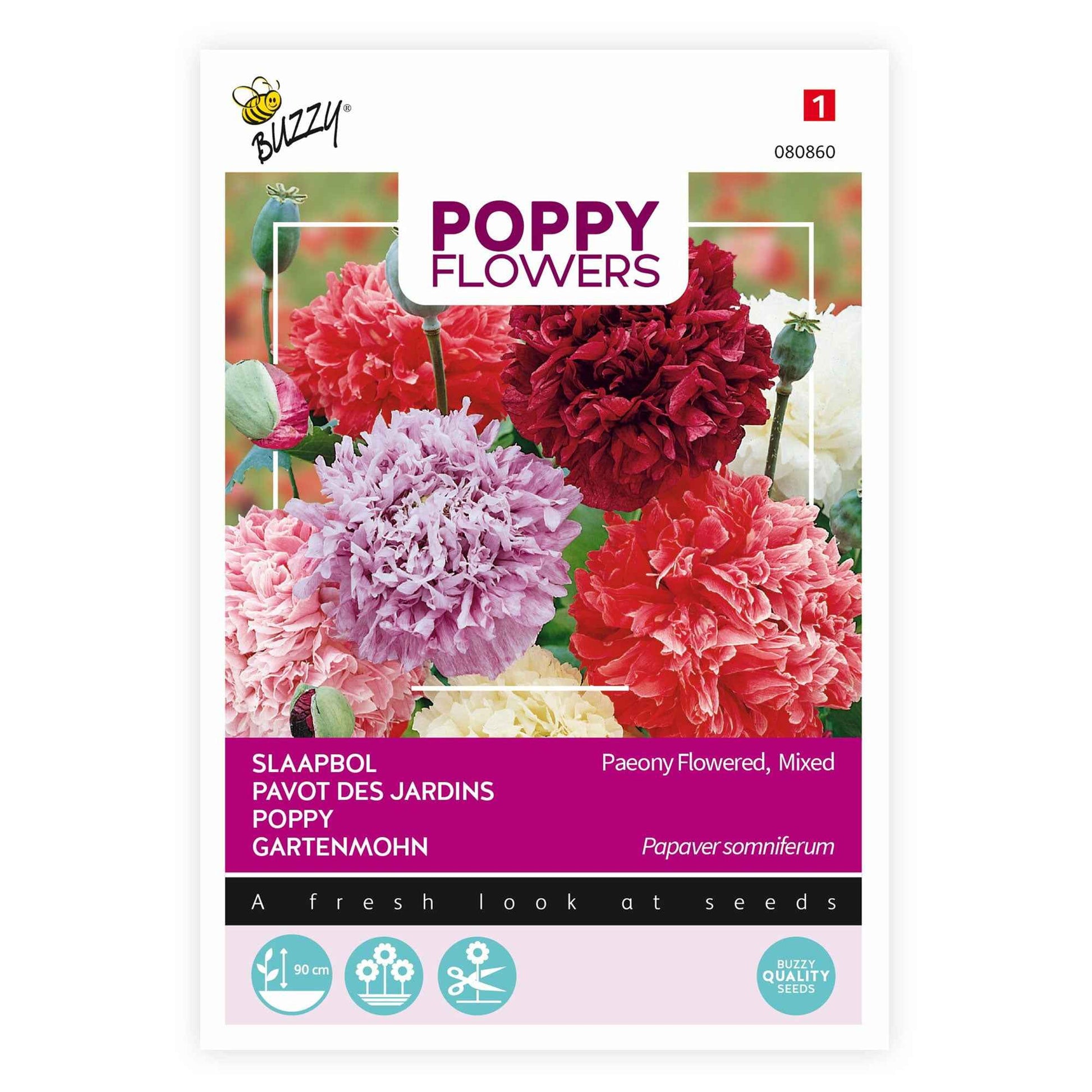 Pavot paeoniflorum rouge-violet-rose 1 m² - Semences de fleurs - Graines