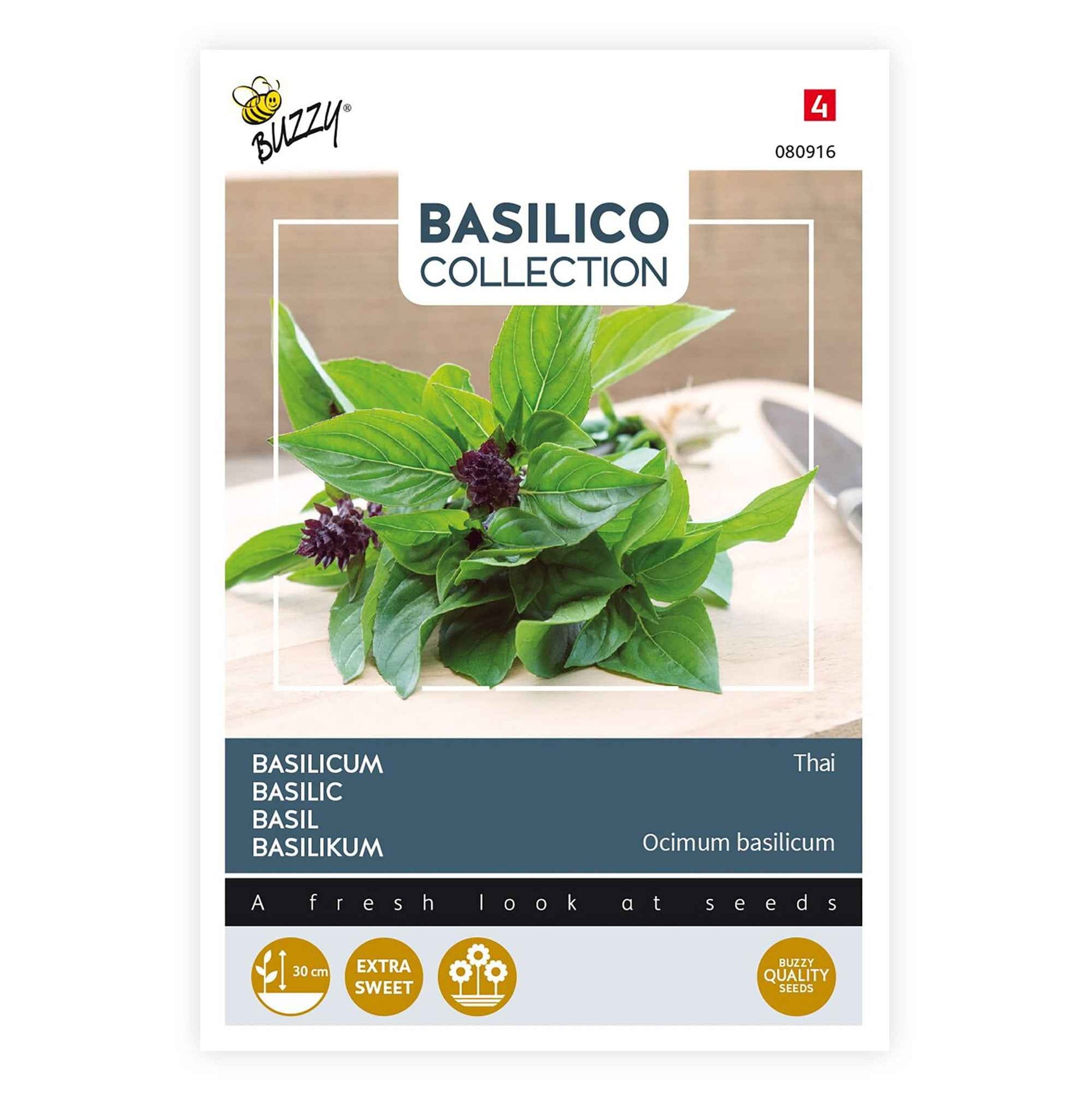 Basilic thaï Ocimum 10 m² - Semences d’herbes - Graines d’herbes aromatiques