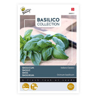 Basilic Ocimum 'Italiano Classico' 10 m² - Semences d’herbes - Graines