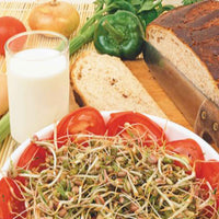 Germe de soja Vigna radiata - Biologique - Semences de légumes - Graines bio
