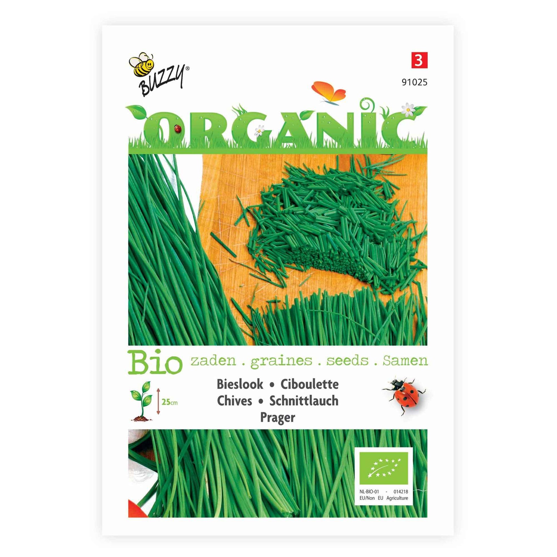 Ciboulette Allium 'Prager' - Biologique 4 m² - Semences d’herbes - Herbes Aromatiques