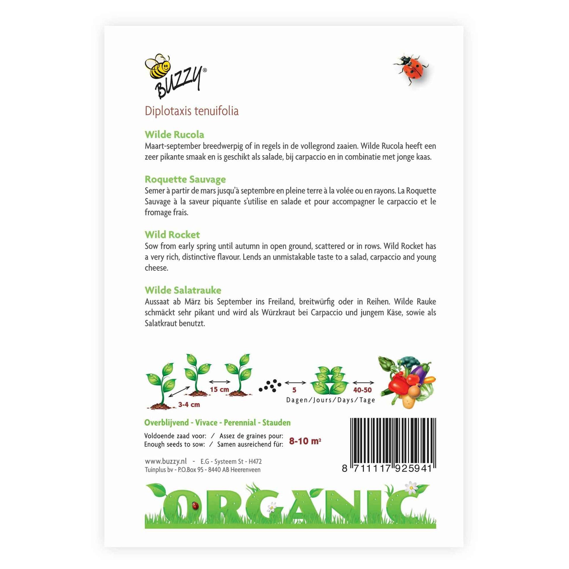 Roquette sauvage Eruca sativa - Biologique 10 m² - Semences d’herbes - Herbes Aromatiques