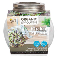 Graines à germer Mélange de salade épicé - Biologique incl. kit de culture - Semences de légumes - Kits potager cadeaux