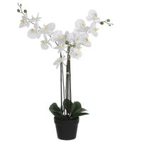 Plante artificielle Orchidée Phalaenopsis avec cache-pot en plastique - Plantes artificielles