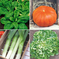 Pack de légumes d'automne 'Automne Appétissant' - Biologique - Semences de légumes - Caractéristiques des plantes