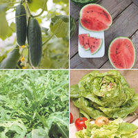 Pack d'été 'Été Étincelant' -  Graines de légumes, graines de fruits - Caractéristiques des plantes