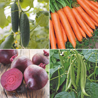 Pack de jardinage pour enfants 'Potager Pratique' - Graines de Légumes