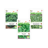 Pack smoothie végétal 'Vert Vibrant' - Semences de légumes - Entretien du potager