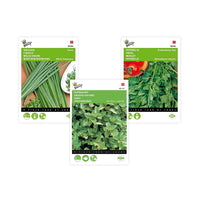 Pack d'herbes aromatiques 'Épices Énergiques' - Semences d’herbes - Graines
