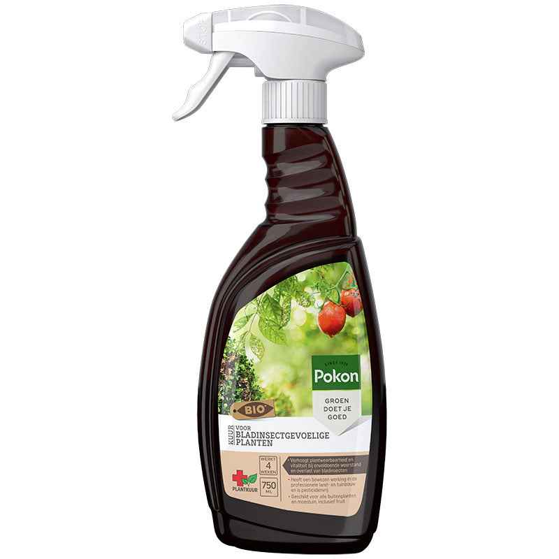 Spray de traitement des plantes contre les insectes foliaires - Biologique 750 ml - Pokon - Engrais