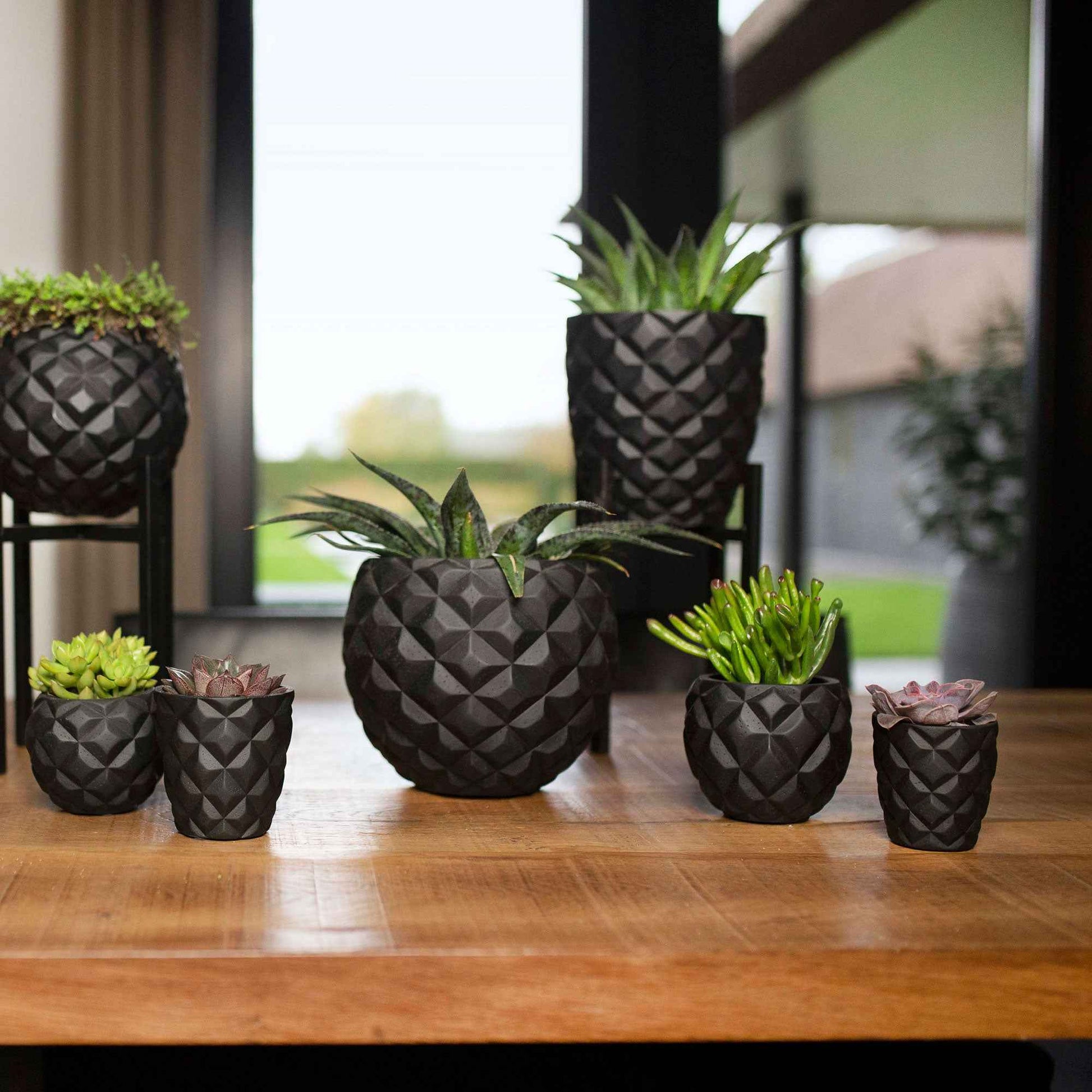 Capi Lux Heraldry pot de fleurs Bulbe noir - Pot pour l'intérieur - Lux
