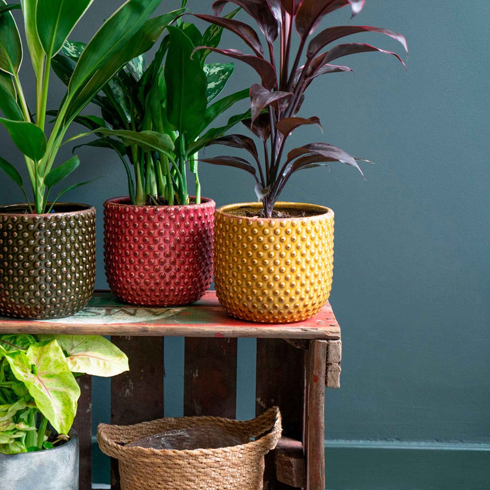 TS pot de fleurs Bolino rond jaune - Pot pour l'intérieur - Collection colorée