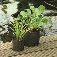 Sachet de plantes aquatiques - Rond - Paniers pour plantes de bassin