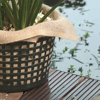 Panier de plantation pour nénuphar - Entretien plantes aquatique