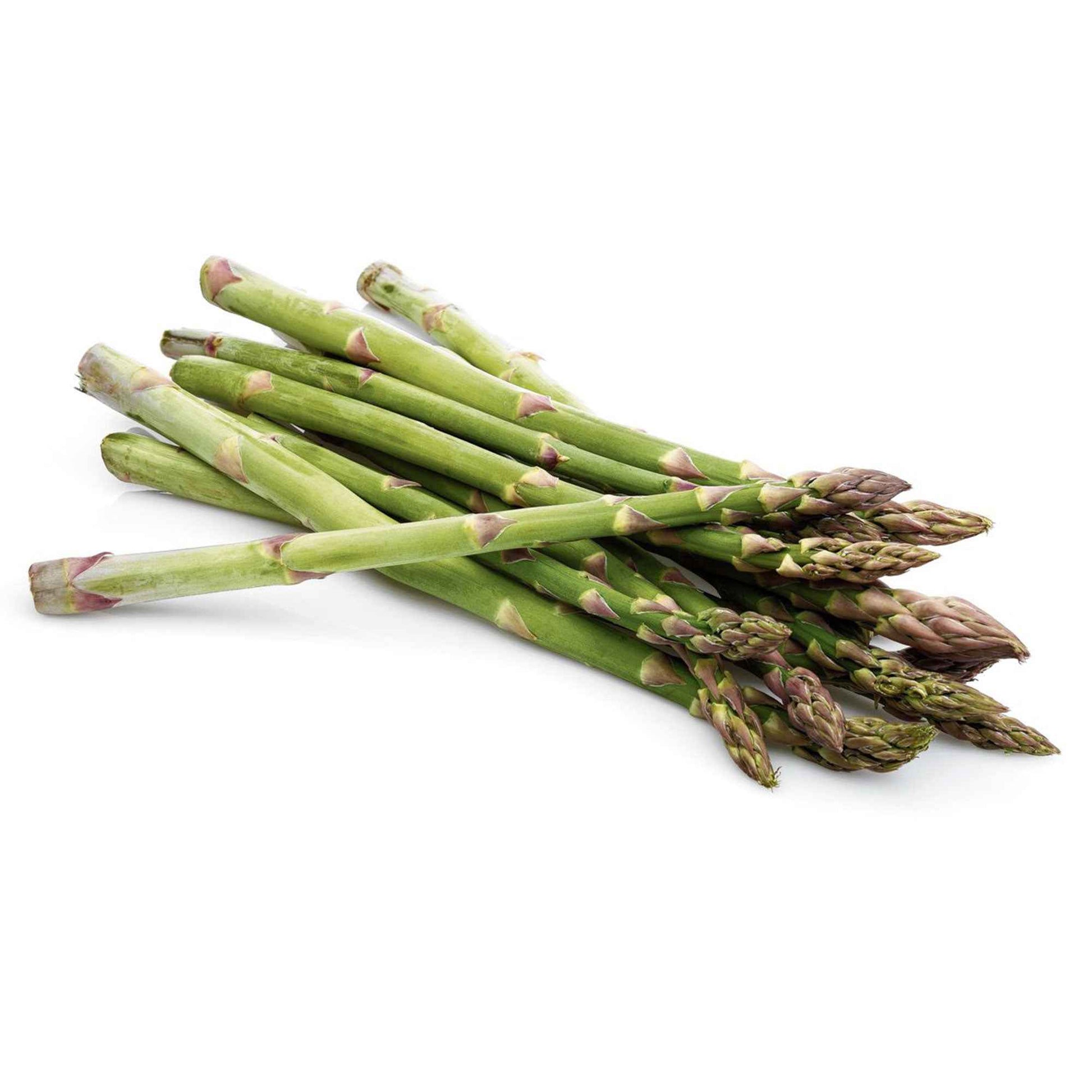 Asperge verte Asparagus 'Vegalim' - Potager