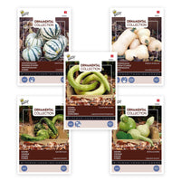 Paquet de courges 'Variétés enchantées' 24 m² - Semences de légumes - Graines