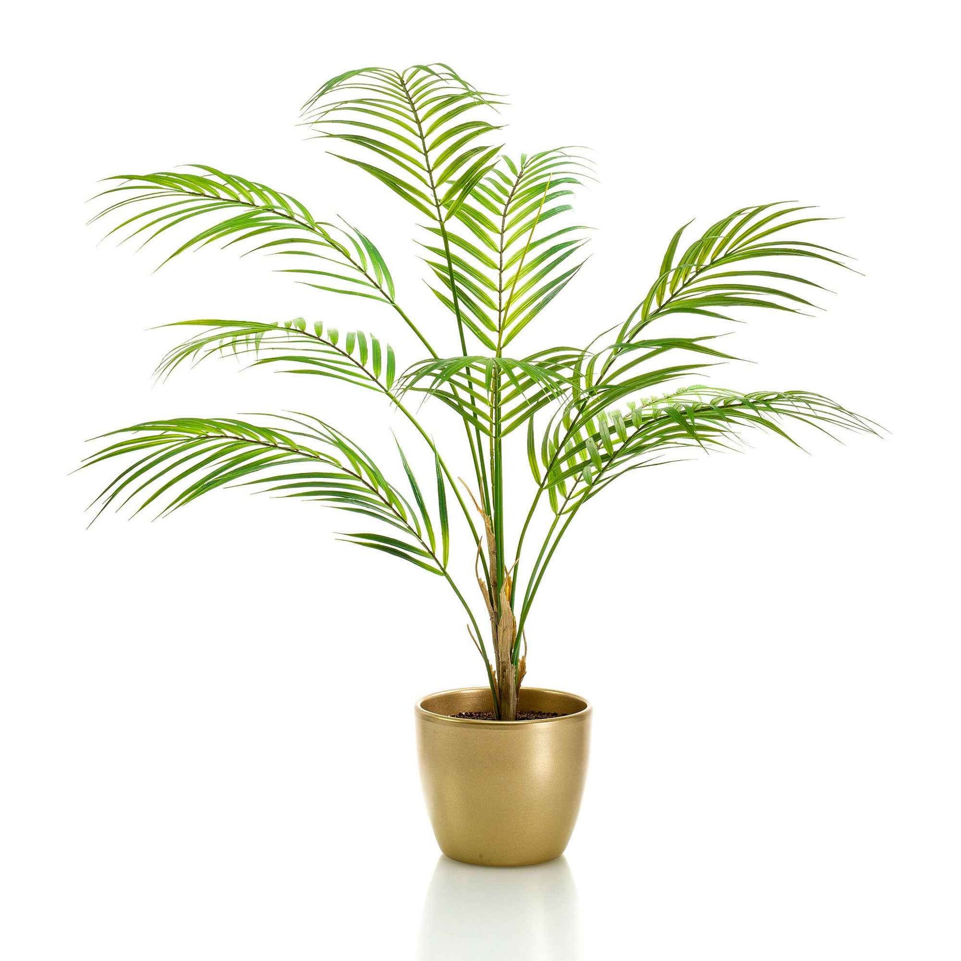 Plante artificielle Palmier des montagnes mexicain avec cache-pot doré