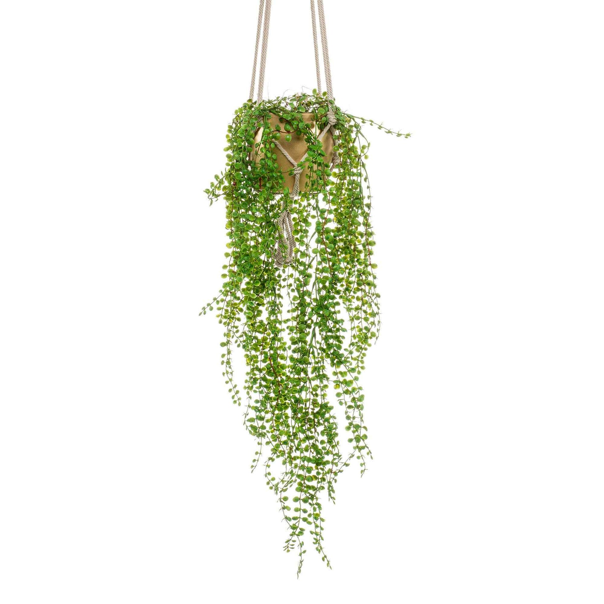 Plante artificielle Ficus pumila vert avec cache-pot doré - Petites plantes artificielles