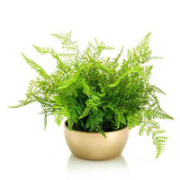 Plante artificielle Aloë Vera fern vert avec cache-pot doré - Petites plantes artificielles