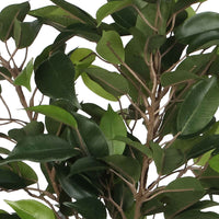 Ficus artificiel 'Natasja' avec cache-pot vert - Plantes vertes artificielles