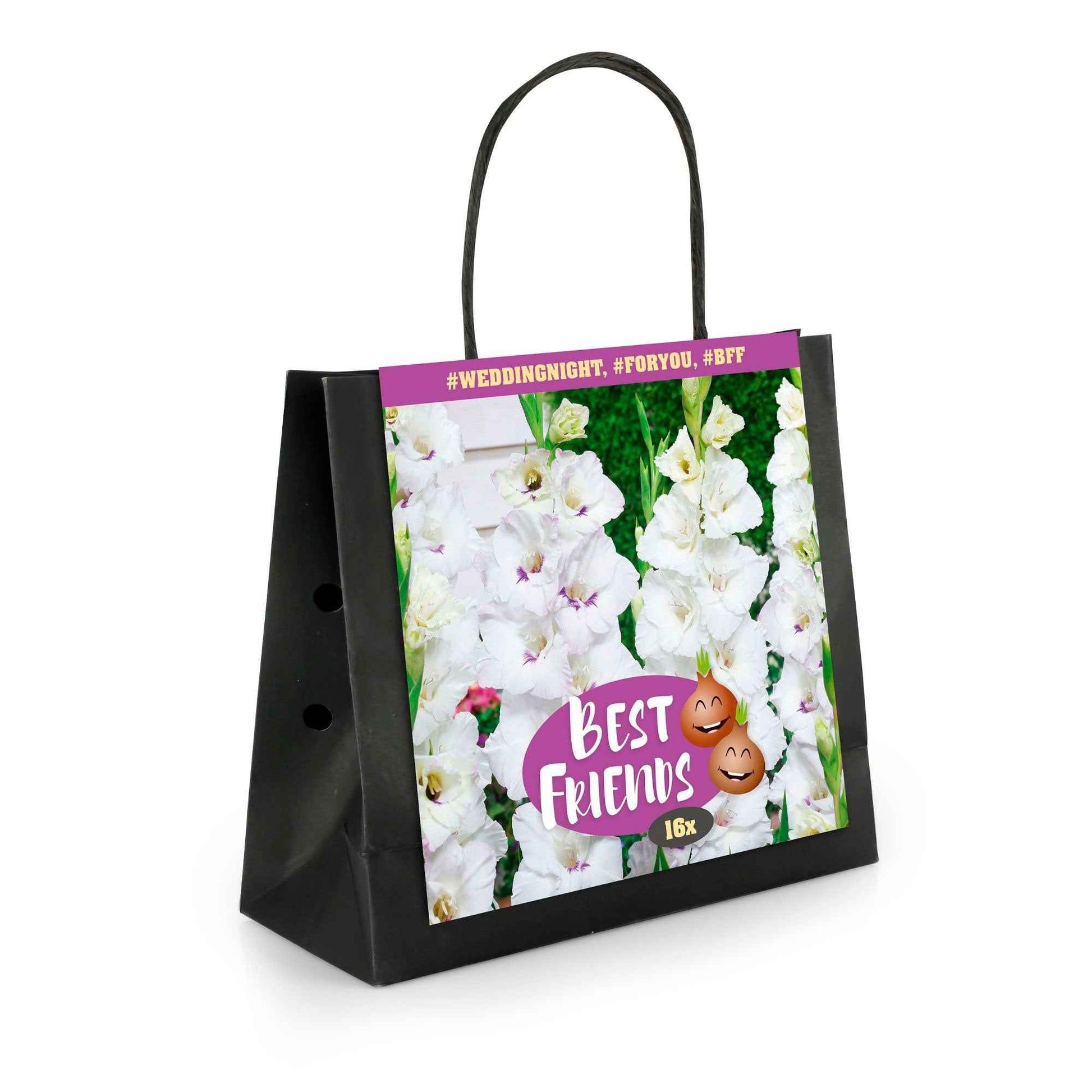 16x Glaïeul Gladiolus  'Wedding Night'  Blanc-Violet - Bulbes de fleurs par catégorie