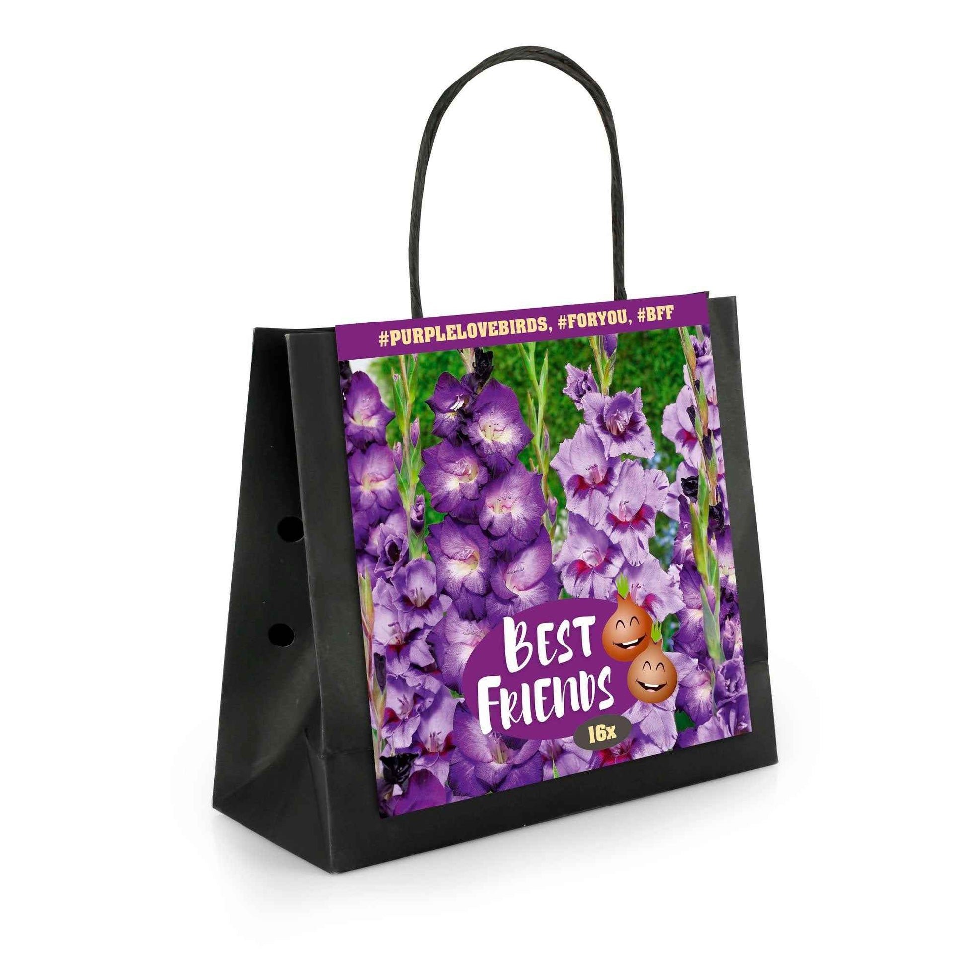16x Glaïeul Gladiolus  'Purple Love Birds'  Violet - Bulbes de fleurs par catégorie