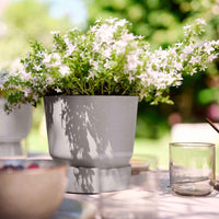 Pot de fleurs Elho Greenville rond gris - Pot pour l'extérieur - Grands pots d'extérieur