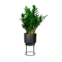 Elho B. for Studio Round- Pot pour l'intérieur et table à plantes Noir - Elho