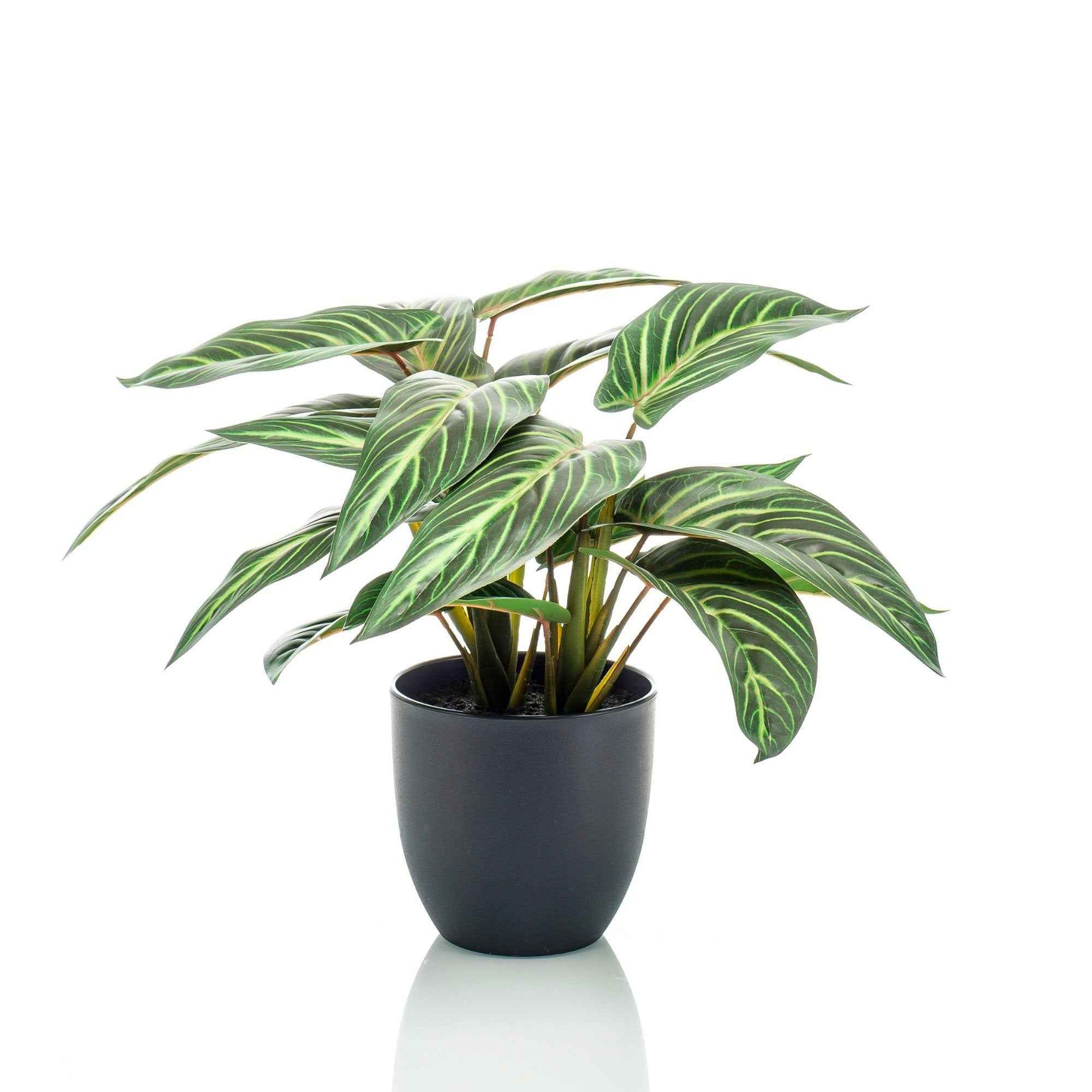 Calathea zebrina artificiel avec pot décoratif - Petites plantes artificielles